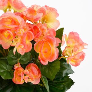 Alternative view of Begonia Kunstplant in Bloempot Stan - H37 x Ø36 cm - Zalmroze