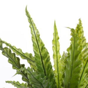 Alternative view of Asplenium Kunstplant in Bloempot Stan - H54 x Ø66 cm - Groen