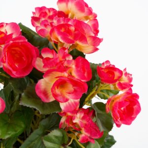 Alternative view of Begonia Kunstplant in Bloempot Stan - H30 x Ø25 cm - Donkerroze