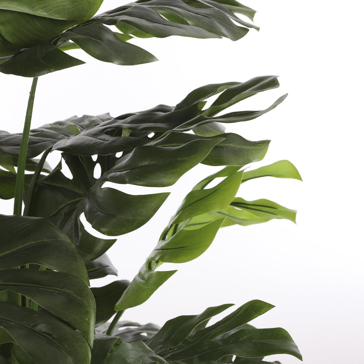Monstera Kunstplant  H160 x Ø80 cm  Groen - Afbeelding 2