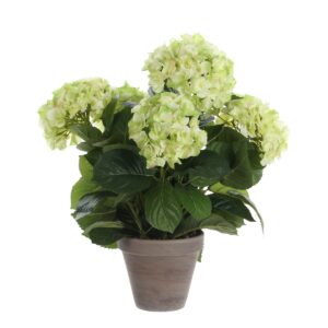 Hortensia Kunstplant in Bloempot Stan - H45 x Ø45 cm - Groen Haal het voorjaar in huis met deze groene Hortensia uit de collectie van Mica Decorations. De bloemen zijn met de kleine bloemblaadjes en het natuurlijke kleurverloop tot in detail nagemaakt. Het fijne is dat je er zonder onderhoud het hele jaar door van kan genieten, want hij staat altijd in bloei! Zo profiteer je van de voordelen van een kunstplant, terwijl je het gevoel hebt alsof er echte plant in huis staat. De Hortensia is al gemodelleerd en stevig verankerd in een terracotta pot met basalt grijze pigmenten. Na aankoop kan je hem dus direct neerzetten, of gebruik de bijgeleverde pot als basis voor een sierlijke overpot. De afmetingen van de kunstplant zijn H45 x Ø45 cm. CASA & VIVENTES Hortensia Kunstplant in Bloempot Stan - H45 x Ø45 cm - Groen Breedte: 45cm Hoogte: 45cm Lengte: 45cm Diameter: 45cm Gewicht: 1170g kleuren: Beige Materialen: Polyester merk: Mica Decorations