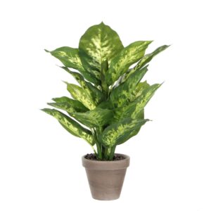 Dieffenbachia Kunstplant in Bloempot Stan - H40 x Ø30 cm - Groen Klaar om zorgeloos te genieten? De kunstplanten zijn niet van echt te onderscheiden, maar hebben geen enkel onderhoud nodig. De bonte bladeren hebben een bijzondere, tot in detail nagemaakte tekening en zijn uitgevoerd in verschillende groeistadia. In combinatie met de bruine takjes lijkt hij net echt! Voor het gemak is de plant al gemodelleerd en stevig verankerd in een terracotta pot met basalt grijze pigmenten. Na aankoop kan de plant dus direct worden neergezet, of gebruik de meegeleverde pot als basis voor een sierlijke overpot. Combineer de Dieffenbachia met andere kunstplanten en -bloemen uit de collectie en breng meer groen in huis. De afmetingen zijn H40 x Ø30 cm. CASA & VIVENTES Dieffenbachia Kunstplant in Bloempot Stan - H40 x Ø30 cm - Groen Breedte: 30cm Hoogte: 40cmZ Lengte: 30cm Diameter: 30cm Gewicht: 590g kleuren: Groen, Groen Materialen: Polyester merk: Mica Decorations