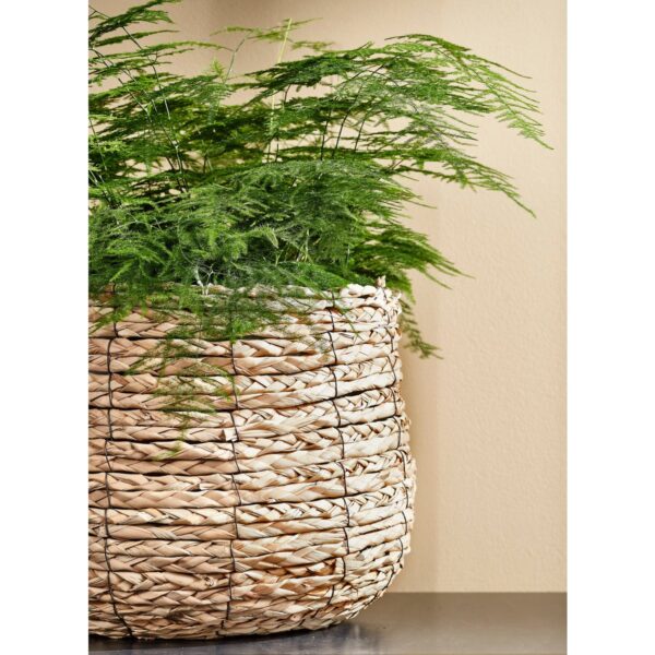 Avalon Plantenmand - H31 x Ø30 cm - Lichtbruin - Afbeelding 6