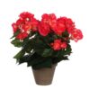 Begonia Kunstplant in Bloempot Stan - H30 x Ø25 cm - Donkerroze Vrolijk het huis op met deze donkerroze Begonia kunstplant. De Begonia heeft geen onderhoud nodig en laat je het hele jaar door genieten. Door de goede afwerking lijkt hij daarnaast net echt. Zowel het groene blad als de tot in detail nagemaakte bloemen zijn namelijk uitgevoerd in verschillende groeistadia. Zo heb je altijd een bloeiende plant in huis! De Begonia is stevig verankerd in een terracotta pot met basalt grijze pigmenten. Zet hem zo neer, of gebruik de pot als stevige basis voor een sierlijke overpot. De afmetingen van de kunstplant zijn H30 x Ø25 cm. CASA & VIVENTES Begonia Kunstplant in Bloempot Stan - H30 x Ø25 cm - Donkerroze Breedte: 25cm Hoogte: 30cm Lengte: 25cm Diameter: 25cm Gewicht: 660g kleuren: Roze, Roze Materialen: Polyester merk: Mica Decoration