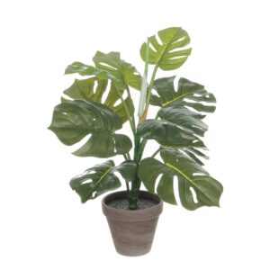 Monstera Kunstplant in Bloempot Stan - H48 x Ø39 cm - Groen Klaar om zorgeloos te genieten? Deze kunstplanten  zijn niet van echt te onderscheiden, maar hebben geen enkel onderhoud nodig. De Monstera staat bekend om de grote bladeren met gaten en wordt daarom ook wel gatenplant genoemd. De bladeren zijn uitgevoerd in verschillende maten en groentinten voor een natuurlijk effect. De plant is stevig verankerd in een unieke, terracotta pot met basalt grijze pigmenten. Na aankoop kan de plant dus direct worden neergezet. Naar wens kan de bijgeleverde pot natuurlijk ook als stevige basis dienen voor een sierlijke overpot of een leuke mand. Combineer hem met andere kunstbloemen en -planten uit de collectie en breng meer groen in huis. H48 x Ø39 cm. CASA & VIVENTES Monstera Kunstplant in Bloempot Stan - H48 x Ø39 cm - Groen Breedte: 39cm Hoogte: 48cm Lengte: 39cm Diameter: 39cm Gewicht: 300g kleuren: Groen, Groen Materialen: Polyester merk: Mica Decorations