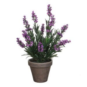 Lavendel Kunstplant in Bloempot Stan H33 x Ø20 cm  Paars Haal de zomer in huis met deze Lavendel kunstplant uit de collectie. De kenmerkende kleur van de blaadjes en de tot in detail nagemaakte, paarse bloemetjes maken dat de plant niet van echt te onderscheiden is. Het enige wat ontbreekt is de geur! De Lavendel is al gemodelleerd en stevig verankerd in een terracotta pot met basalt grijze pigmenten. Na aankoop kan de Lavendel kunstplant dus direct worden neergezet, of gebruik de bijgeleverde pot als stevige basis voor een sierlijke overpot. De Lavendel kunstplant is 33 cm hoog en heeft een diameter van 20 cm. Casa & Viventes Breedte: 20cm Hoogte: 33cm Lengte: 20cm Diameter: 20cm Gewicht: 450g kleuren: Paars, Paars Materialen: Polyester merk: Mica Decorations