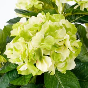 Alternative view of Hortensia Kunstplant in Bloempot Stan - H45 x Ø45 cm - Groen