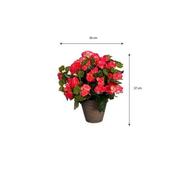 Begonia Kunstplant in Bloempot Stan  H37 x Ø36 cm  Donkerroze - Afbeelding 5