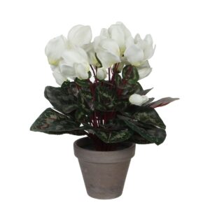 Cyclaam Kunstplant in Bloempot Stan - H30 x Ø30 cm - Wit Vrolijk het huis op met deze witte Cyclaam uit de collectie van Mica Decorations. De kunstplant vergt geen enkel onderhoud en laat je het hele jaar door genieten. Kijk maar eens naar de mooie, witte bloemen! Ze zijn uitgevoerd in verschillende groeistadia: van nog in de knop tot al in bloei, voor een extra natuurlijke uitstraling. Ook het groene blad is gedetailleerd afgewerkt en lijkt net echt. De Cyclaam is stevig verankerd in een terracotta pot met basalt grijze pigmenten. Na aankoop kan de plant dus direct worden neergezet, of gebruik de bijgeleverde pot als basis voor een sierlijke overpot. De plant is 30 cm hoog en ook 30 cm breed. CASA & VIVENTES Cyclaam Kunstplant in Bloempot Stan - H30 x Ø30 cm - Wit Breedte: 30cm Hoogte: 30cm Lengte: 30cm Diameter: 30cm Gewicht: 680g kleuren: Wit, Wit Materialen: Polyester merk: Mica Decorations