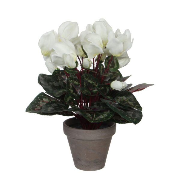 Cyclaam Kunstplant in Bloempot Stan - H30 x Ø30 cm - Wit Vrolijk het huis op met deze witte Cyclaam uit de collectie van Mica Decorations. De kunstplant vergt geen enkel onderhoud en laat je het hele jaar door genieten. Kijk maar eens naar de mooie, witte bloemen! Ze zijn uitgevoerd in verschillende groeistadia: van nog in de knop tot al in bloei, voor een extra natuurlijke uitstraling. Ook het groene blad is gedetailleerd afgewerkt en lijkt net echt. De Cyclaam is stevig verankerd in een terracotta pot met basalt grijze pigmenten. Na aankoop kan de plant dus direct worden neergezet, of gebruik de bijgeleverde pot als basis voor een sierlijke overpot. De plant is 30 cm hoog en ook 30 cm breed. CASA & VIVENTES Cyclaam Kunstplant in Bloempot Stan - H30 x Ø30 cm - Wit Breedte: 30cm Hoogte: 30cm Lengte: 30cm Diameter: 30cm Gewicht: 680g kleuren: Wit, Wit Materialen: Polyester merk: Mica Decorations