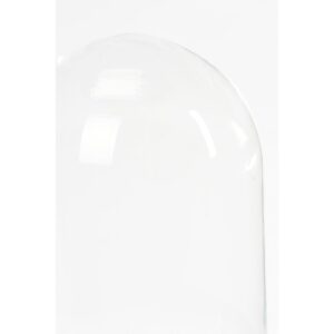 Alternative view of Hella Glazen Stolp - H23 x Ø17 cm - Transparant, Zwart