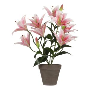 Tijgerlelie Kunstplant in Bloempot Stan - H47 x Ø45 cm - Roze Fleur het huis op met deze Tijgerlelie kunstplant uit de collectie van Mica Decorations. De van oorsprong Aziatische bloem wordt gekenmerkt door de mooi gevormde bloemen met bruinrode spikkels. Door het gebruik van hoogwaardige materialen is deze roze kunstvariant niet van echt te onderscheiden! Daarnaast kan je er ook nog eens het hele jaar door van genieten. Voor het gemak is de plant al gemodelleerd en stevig verankerd in een terracotta pot met basalt grijze pigmenten. Zet de plant na aankoop zo neer, of gebruik de pot als stevige basis voor een sierlijke overpot. De Tijgerlelie is 47 cm hoog en heeft een diameter van 45 cm. CASA & VIVENTES Tijgerlelie Kunstplant in Bloempot Stan - H47 x Ø45 cm - Roze Breedte: 45cm Hoogte: 47cm Lengte: 45cm Diameter: 45cm Gewicht: 640g kleuren: Roze Materialen: Polyester merk: Mica Decorations