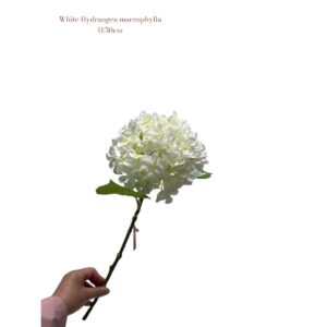 Artificial flowers Hydrangea Macrophylla White| Zijden kunstbloem | Lengte 50 1pcs Mooie zijden kunstbloemen met een lengte van 50centimeter. In ons drukke leven is het soms moeilijk om voldoende tijd en energie te investeren in het onderhouden van verse bloemen. Gelukkig is er een prachtig alternatief: zijden kunstbloemen. Voor de meest levensechte en luxe zijden bloemen is er geen betere plek dan de online bloemenwinkel. Deze unieke, hoogwaardige collectie onderscheidt zich door zijn unieke en realistische collectie zijden bloemen en kunsttakken. Deze bloemen zijn niet alleen een lust voor het oog, maar brengen ook een vleugje natuur in huis zonder dat je zich zorgen hoeft te maken over onderhoud. Of je nu op zoek bent naar een prachtig bloemstuk voor op tafel of naar een elegante vaas voor speciale gelegenheden. De natuurlijke schoonheid van zijden bloemen is  wat zijden bloemen echt uniek maakt, is hun verbazingwekkende getrouwheid aan de werkelijkheid. Elk detail is zorgvuldig vervaardigd om de authenticiteit van de bloemen en takken na te bootsen. Het is moeilijk te geloven dat deze bloemen niet vers geplukt zijn! Hoogwaardige materialen zorgen ervoor dat de bloemen langdurig mooi blijven, zonder te verwelken of hun kleur te verliezen. Duurzaamheid en langdurig genieten: Naast hun esthetische waarde zijn de zijden bloemen ook een duurzame keuze. Ze blijven lang mooi, wat betekent dat u keer op keer kunt genieten van hun prachtige aanblik. Bovendien hoeft je niet steeds verse bloemen te kopen, waardoor jouw ecologische voetafdruk wordt verkleind. CASA & VIVENTES Artificial flowers Hydrangea Macrophylla White| Zijden kunstbloem | Lengte 50 1pcs Breedte: 16cm Hoogte: 50cm Lengte: 16cm Gewicht: 200g merk: QMF Trading