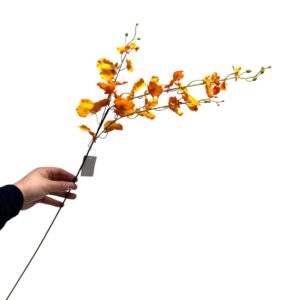 Oranje Oncidium | Zijden kunstbloem | Lengte 97cm 1pcs Mooie zijden kunstbloemen met een lengte van 97 centimeter. In ons drukke leven is het soms moeilijk om voldoende tijd en energie te investeren in het onderhouden van verse bloemen. Gelukkig is er een prachtig alternatief: zijden kunstbloemen.   Deze unieke, hoogwaardige collectie onderscheidt zich door zijn unieke en realistische collectie zijden bloemen en kunsttakken. Deze bloemen zijn niet alleen een lust voor het oog, maar brengen ook een vleugje natuur in huis zonder dat u zich zorgen hoeft te maken over onderhoud. Of je nu op zoek bent naar een prachtig bloemstuk voor op tafel of naar een elegante vaas voor speciale gelegenheden. Duurzaamheid en langdurig genieten: Naast hun esthetische waarde zijn de zijden bloemen ook een duurzame keuze. Ze blijven lang mooi, wat betekent dat u keer op keer kunt genieten van hun prachtige aanblik. Bovendien hoeft je niet steeds verse bloemen te kopen, waardoor jouw ecologische voetafdruk wordt verkleind. CASA & VIVENTES Oranje Oncidium | Zijden kunstbloem | Lengte 97cm 1pcs Breedte: 4cm Hoogte: 80cm Lengte: 4cm Diameter: 4cm Gewicht: 200g kleuren: Oranje Materialen: Plastic merk: QMF Trading