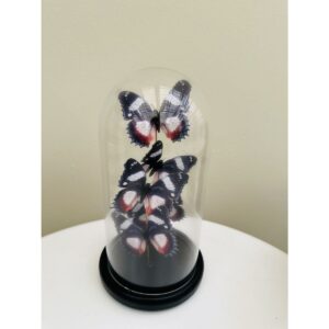 Alternative view of Vlinderdecoratie 14 *26cm decoratieve Stolp