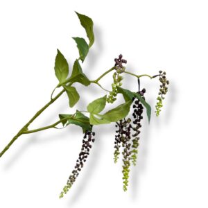 Phytolacca americana  deep purple -04 | Zijden kunstbloem | Lengte  65cm   1pcs Deze unieke, hoogwaardige collectie onderscheidt zich door zijn unieke en realistische collectie zijden bloemen en kunsttakken. Deze bloemen zijn niet alleen een lust voor het oog, maar brengen ook een vleugje natuur in huis zonder dat u zich zorgen hoeft te maken over onderhoud. Of je nu op zoek bent naar een prachtig bloemstuk voor op tafel of naar een elegante vaas voor speciale gelegenheden. Duurzaamheid en langdurig genieten: Naast hun esthetische waarde zijn de zijden bloemen ook een duurzame keuze. Ze blijven lang mooi, wat betekent dat je keer op keer kunt genieten van hun prachtige aanblik. Bovendien hoeft je niet steeds verse bloemen te kopen, waardoor uw ecologische voetafdruk wordt verkleind. CASA & VIVENTES Phytolacca americana  deep purple -04 | Zijden kunstbloem | Lengte  65cm   1pcs Breedte: 10cm Hoogte: 65cm Lengte: 8cm Gewicht: 200g kleuren: Groen, Roze, Paars Materialen: Zijde merk: QMF Trading