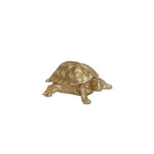 Schildpaddoos Polyresin Goud 15,5x13,5x7,5cm IT'S TURTLE TIME!- Schildpadden zijn leuk om naar te kijken en daarom een ​​geweldige aanwinst voor je interieur. Onder het schild van dit schildpadornament kun je kleine spulletjes verstoppen. Belangrijke kenmerken: - Gemaakt van polyresin - Afmeting: 15,5x13,5x7,5cm Stylingadvies: De schildpad is een stijlvolle verstopplek voor sleutels, ringen en andere kleine spullen. CASA & VIVENTES merk: Housevitamin