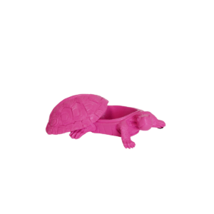 Schildpaddoos Polyresin Neon Roze 15,5x13,5x7,5cm IT'S TURTLE TIME!- Schildpadden zijn leuk om naar te kijken en daarom een ​​geweldige aanwinst voor je interieur. Onder het schild van dit schildpadornament kun je kleine spulletjes verstoppen. Belangrijke kenmerken: - Gemaakt van polyresin - Afmeting: 15,5x13,5x7,5cm Stylingadvies: De schildpad is een stijlvolle verstopplek voor sleutels, ringen en andere kleine spullen. merk: Housevitamin CASA & VIVENTES