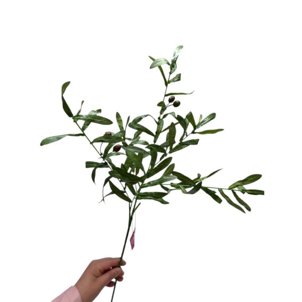 Canarium album | Zijden kunstbloem | Lengte 75 1pcs Mooie zijden kunstbloemen met een lengte van 75centimeter. In ons drukke leven is het soms moeilijk om voldoende tijd en energie te investeren in het onderhouden van verse bloemen. Gelukkig is er een prachtig alternatief: zijden kunstbloemen. Voor de meest levensechte en luxe zijden bloemen is er geen betere plek dan de online bloemenwinkel. Deze unieke, hoogwaardige collectie:onderscheidt zich door zijn unieke en realistische collectie zijden bloemen en kunsttakken. Deze bloemen zijn niet alleen een lust voor het oog, maar brengen ook een vleugje natuur in huis zonder dat je zich zorgen hoeft te maken over onderhoud. Of je nu op zoek bent naar een prachtig bloemstuk voor op tafel of naar een elegante vaas voor speciale gelegenheden. Duurzaamheid en langdurig genieten: Naast hun esthetische waarde zijn de zijden bloemen ook een duurzame keuze. Ze blijven lang mooi, wat betekent dat u keer op keer kunt genieten van hun prachtige aanblik. Bovendien hoeft u niet steeds verse bloemen te kopen, waardoor uw ecologische voetafdruk wordt verkleind. CASA & VIVENTES Canarium album | Zijden kunstbloem | Lengte 75 1pcs Breedte: 2cm Hoogte: 75cm Lengte: 3cm Gewicht: 200g merk: QMF Trading