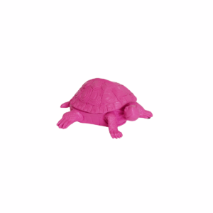 Alternative view of Schildpaddoos  Polyresin  Neon Roze  15,5x13,5x7,5cm