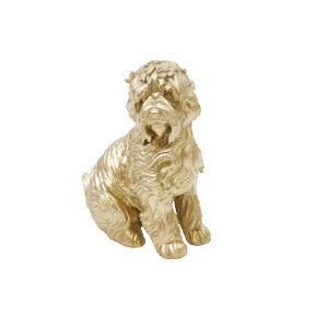 Ornament - Labradoodle - Polyresin - Goud - 10,5x5x9cm WIE LAAT DE HONDEN UIT?! - Geen zorgen: deze labradoodle heeft alles nodig. Kijk hem gewoon aan en geef hem zo nu en dan een glimlach. Belangrijke kenmerken: - Gemaakt van polyresin - Afmeting: 10,5x5x9cm Stylingtip: Geef dit labradoodle ornament een mooi plekje op een stapel boeken en laat hem stralen! Casa & Viventes merk: Housevitamin